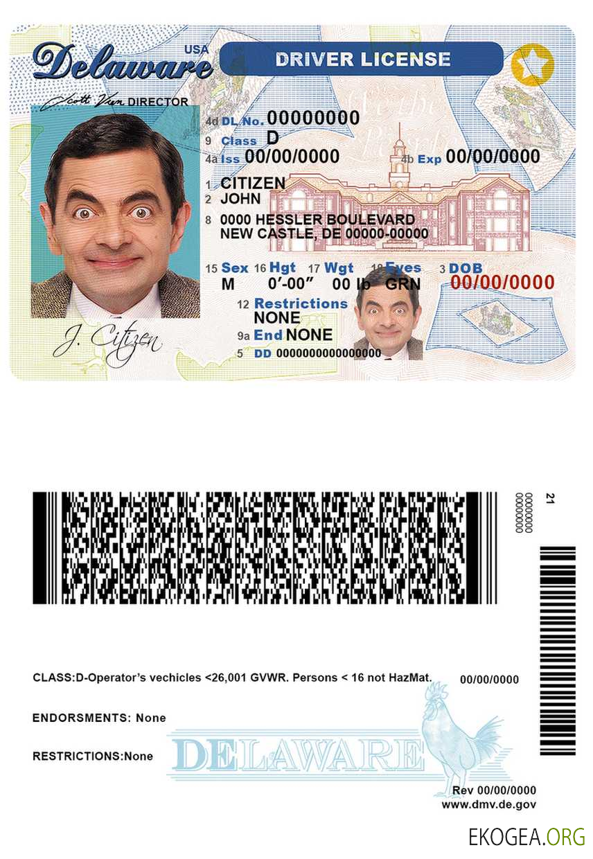 USA Delaware driver license